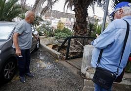 Los vecinos junto a restos de palmera que dice esperan hace mucho tiempo su retirada.