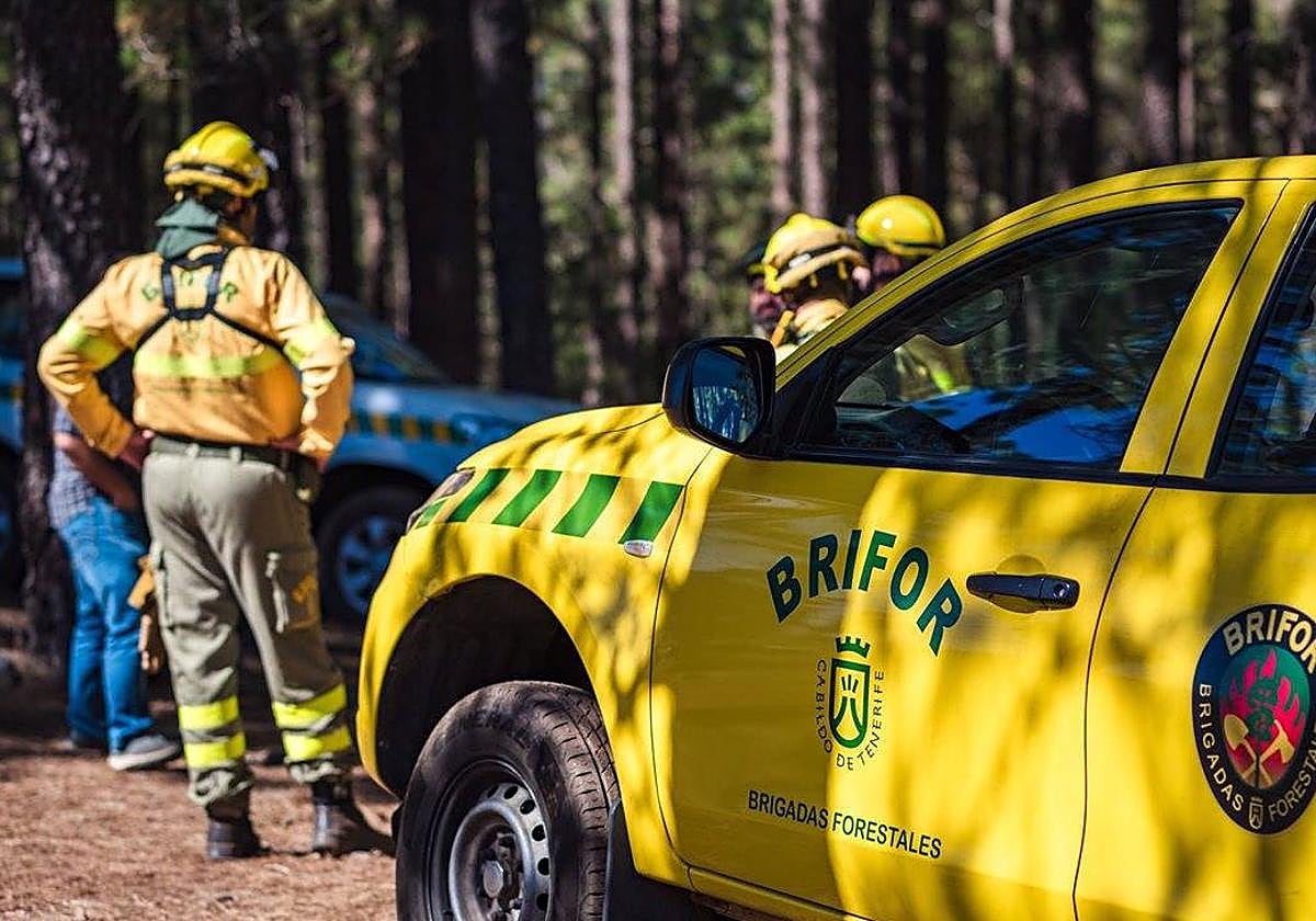 El Cabildo de Tenerife da por finalizada la prohibición de hacer fuego en los fogones de las áreas recreativas.