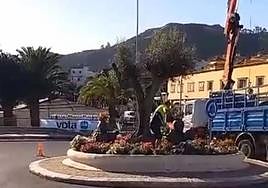 Imagen del momento en el que la empresa del vivero procedía a llevarse el olivo y las macetas de flores.