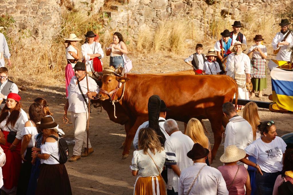 Ofrenda, bailes y carretas en la tradicional romería de San Lorenzo