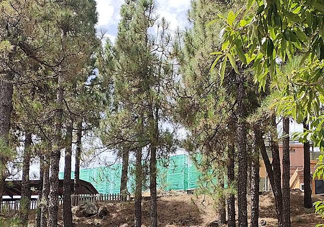 Otra imagen de los dispositivos vistos desde el pinar que rodea la base militar.