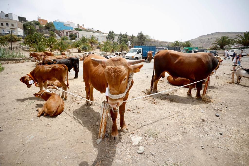 La procesión de San Lorenzo, en imágenes