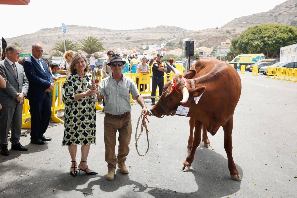 La procesión de San Lorenzo, en imágenes