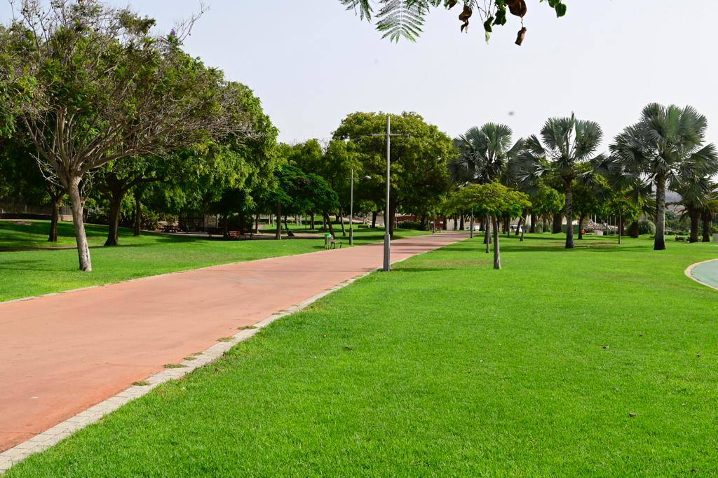 Zafarrancho en el Parque del Sur
