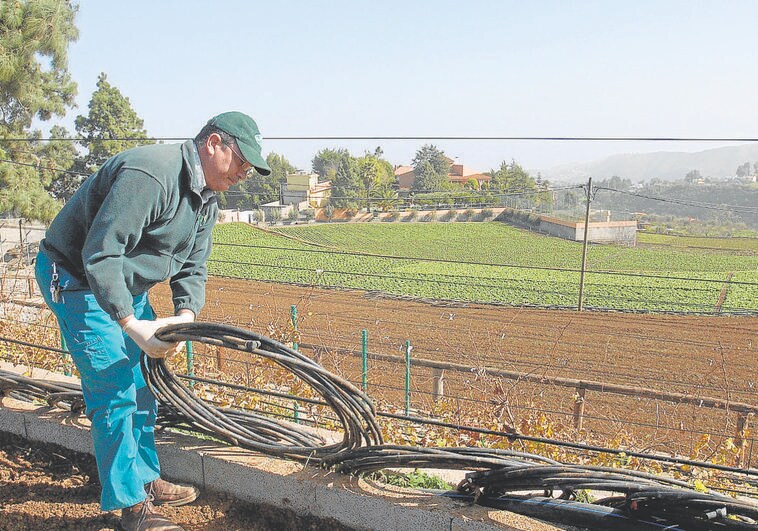 Los contratos en agricultura en Canarias alcanzan los 8.139 hasta julio