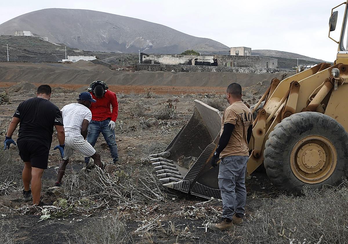 Profesionales del sector agrario en una zona del interior de la isla.