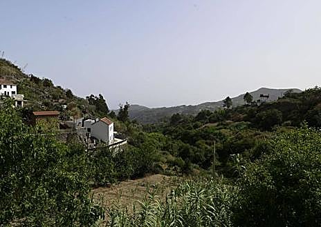 Imagen secundaria 1 - Noche con bochorno en Canarias, con temperaturas de hasta 40 grados en La Aldea