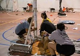 El fuego empuja a realojar 200 perros en un pabellón