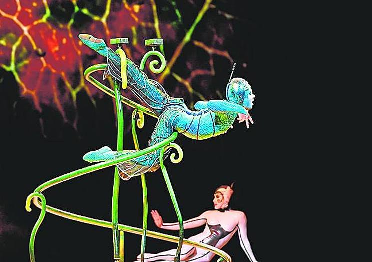 Imagen principal - El público alucina con el espectacular y vibrante ecosistema de insectos de Ovo