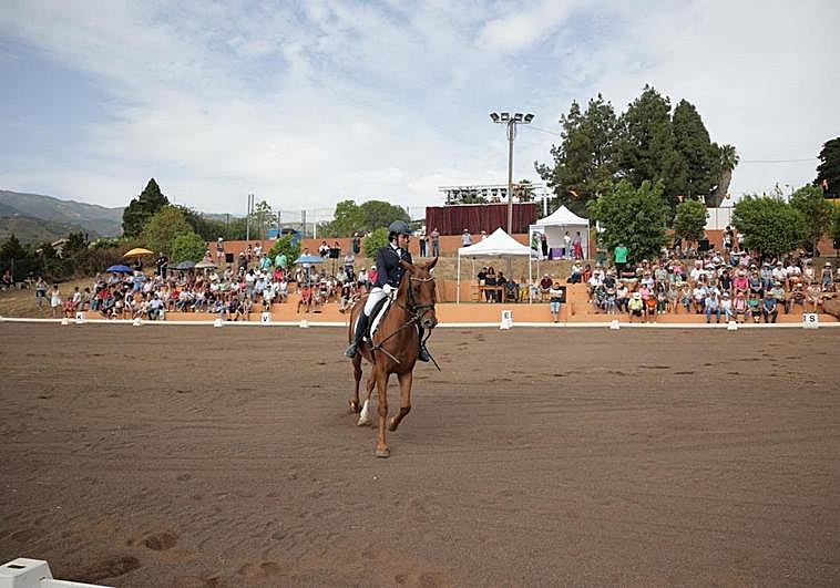 Momento de la actividad.