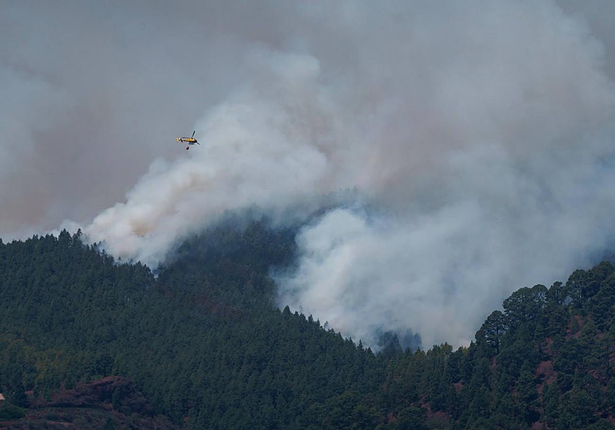 El fuego en Tenerife, que fue intencionado, sigue avanzando: Izaña y Güímar en el punto de mira