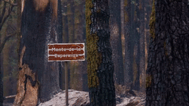 Imágenes del incendio este martes