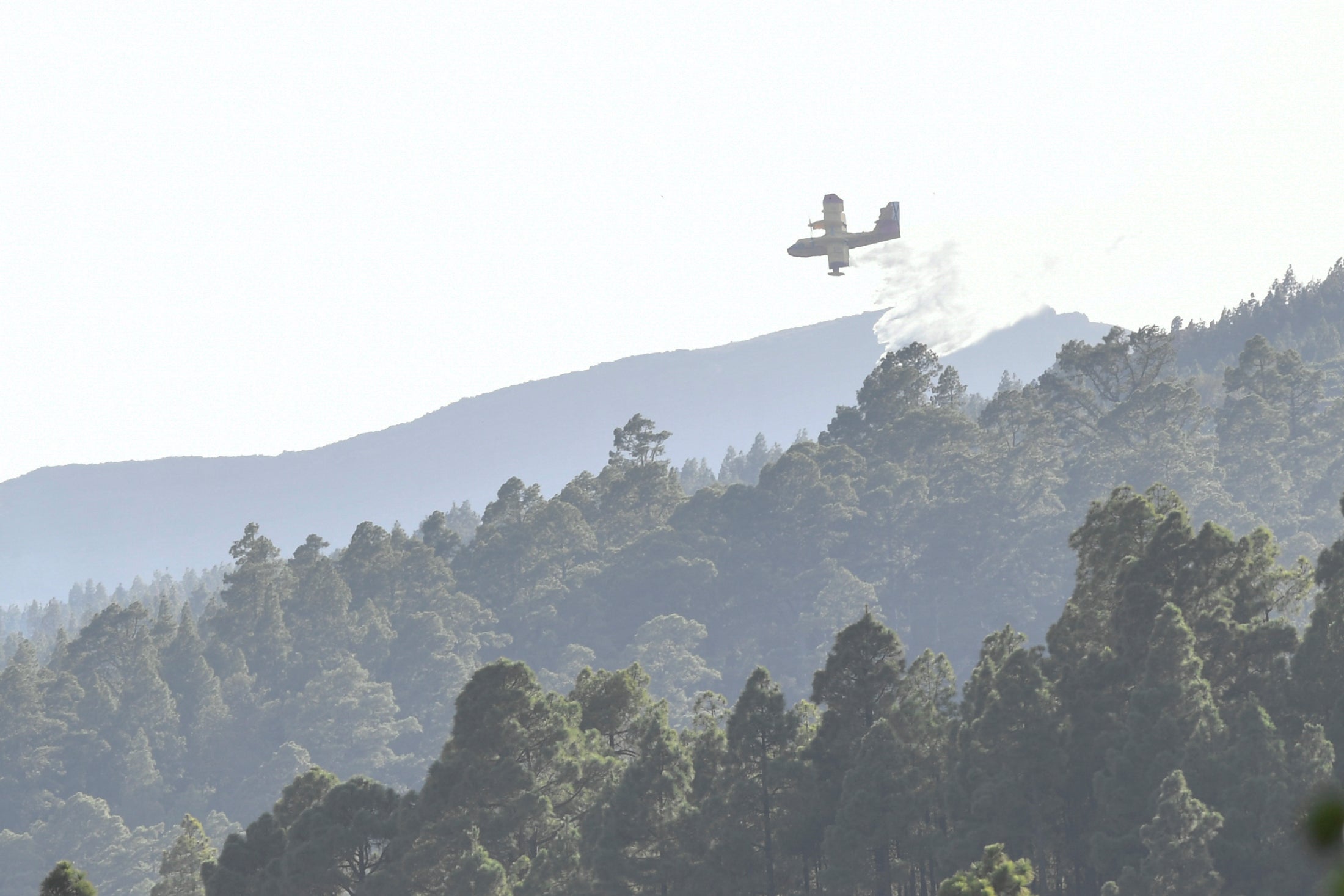 Hidroaviones: La estela de la esperanza sobre Tenerife