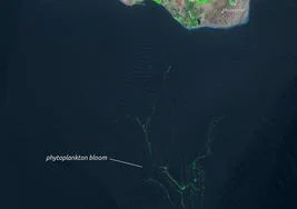 La impactante imagen desde el espacio de las microalgas al sur de Gran Canaria
