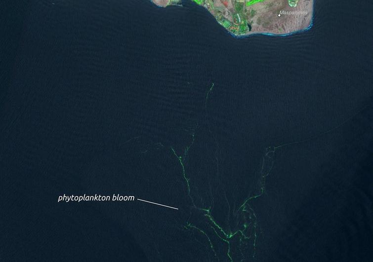 La impactante imagen desde el espacio de las microalgas al sur de Gran Canaria