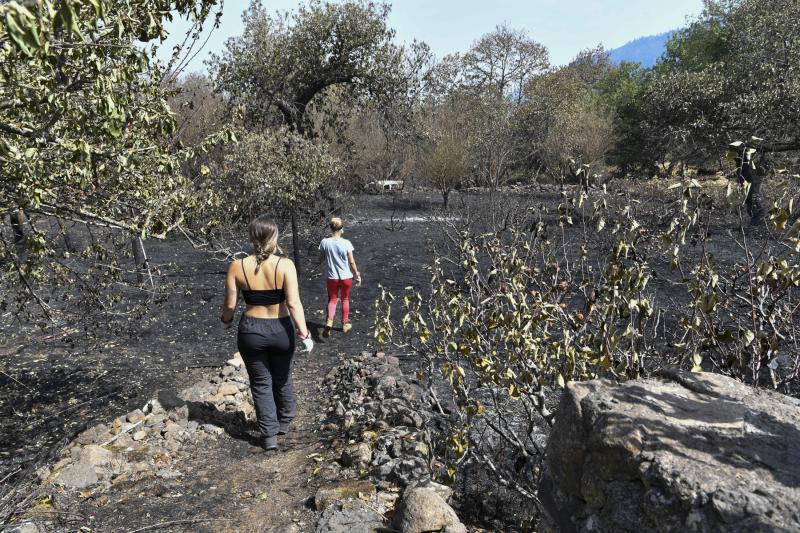 Las secuelas del fuego en Tenerife