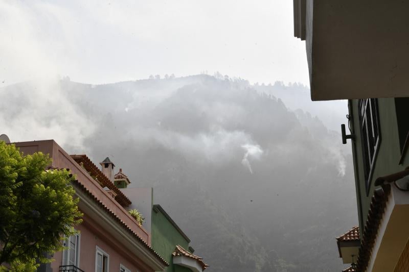 Las secuelas del fuego en Tenerife