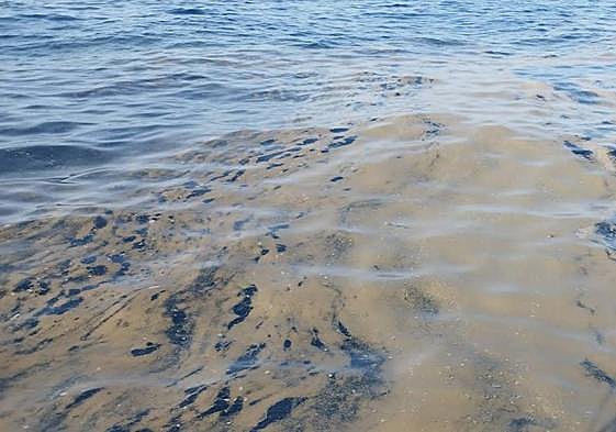 Imagen captada desde el barco de control ambiental en la franja costera de Mogán.