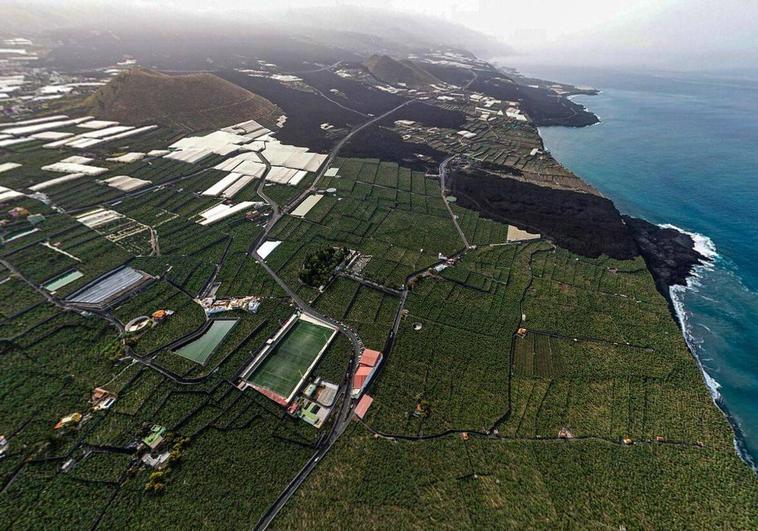 El sector del plátano en La Palma reclama medidas contra la ruina de la agricultura