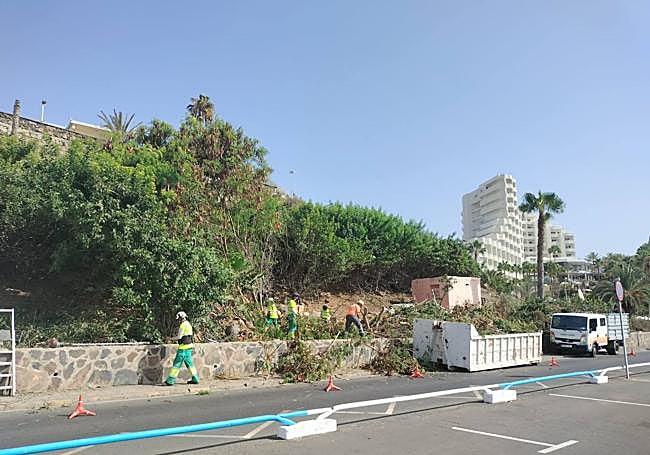 Trabajos de poda de la vegetación de la ladera anexa al aparcamiento.