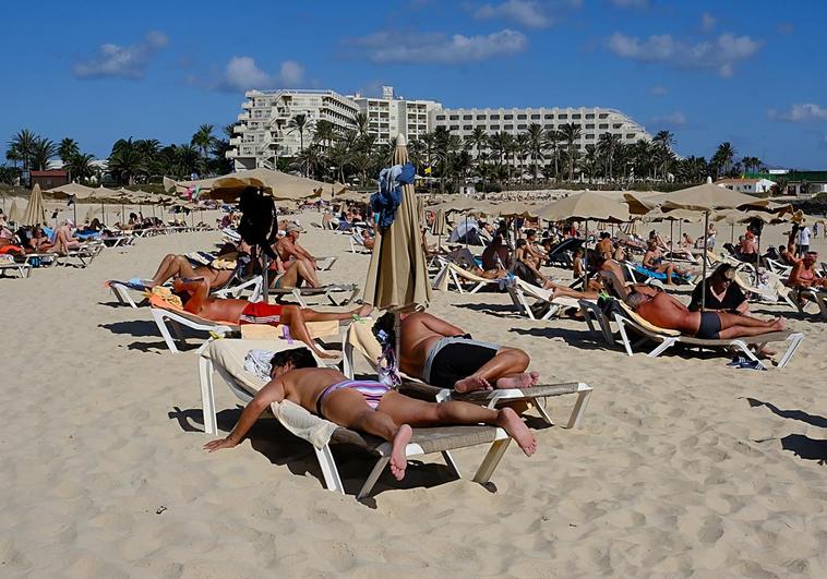 La Oliva busca explotador para 1.400 hamacas y 700 sombrillas en Corralejo