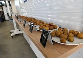 Cata insular de papas