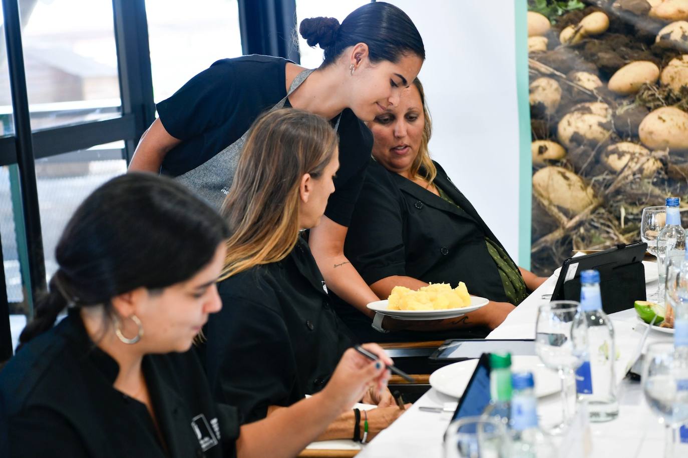 Cata insular de papas