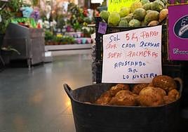 La papa palmera se aprovecha del parón de importaciones inglesas