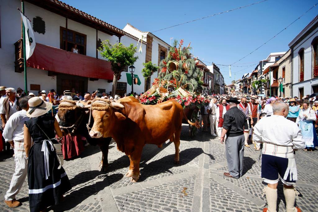 Romería y ofrendas en la basílica de Teror