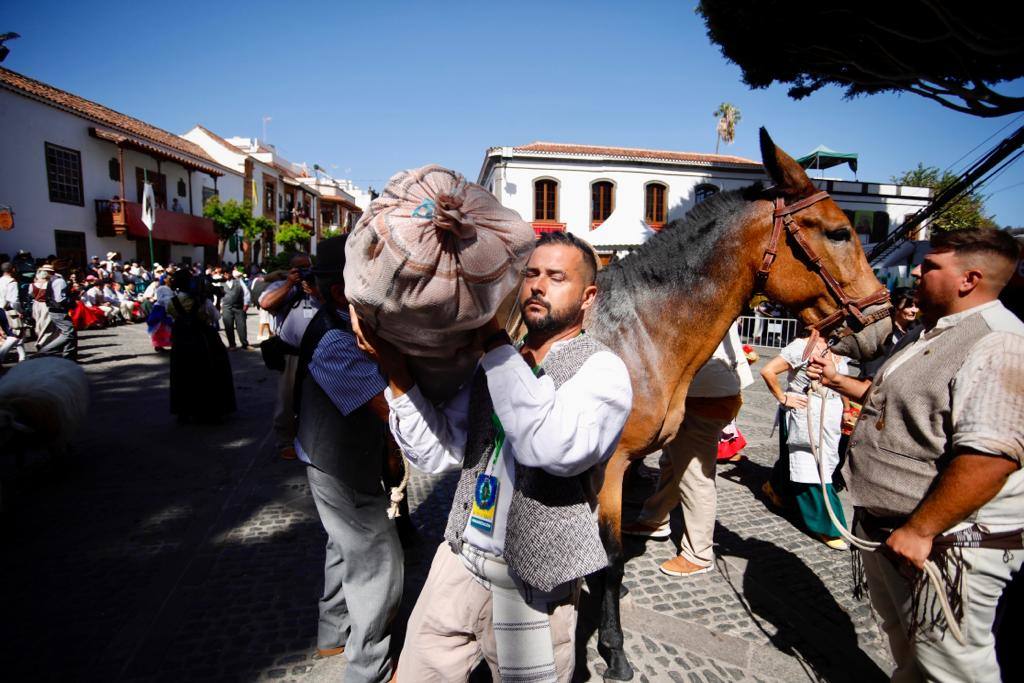 Romería y ofrendas en la basílica de Teror