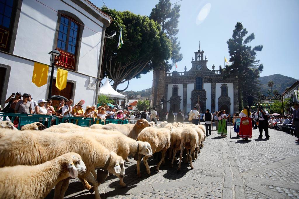 Romería y ofrendas en la basílica de Teror