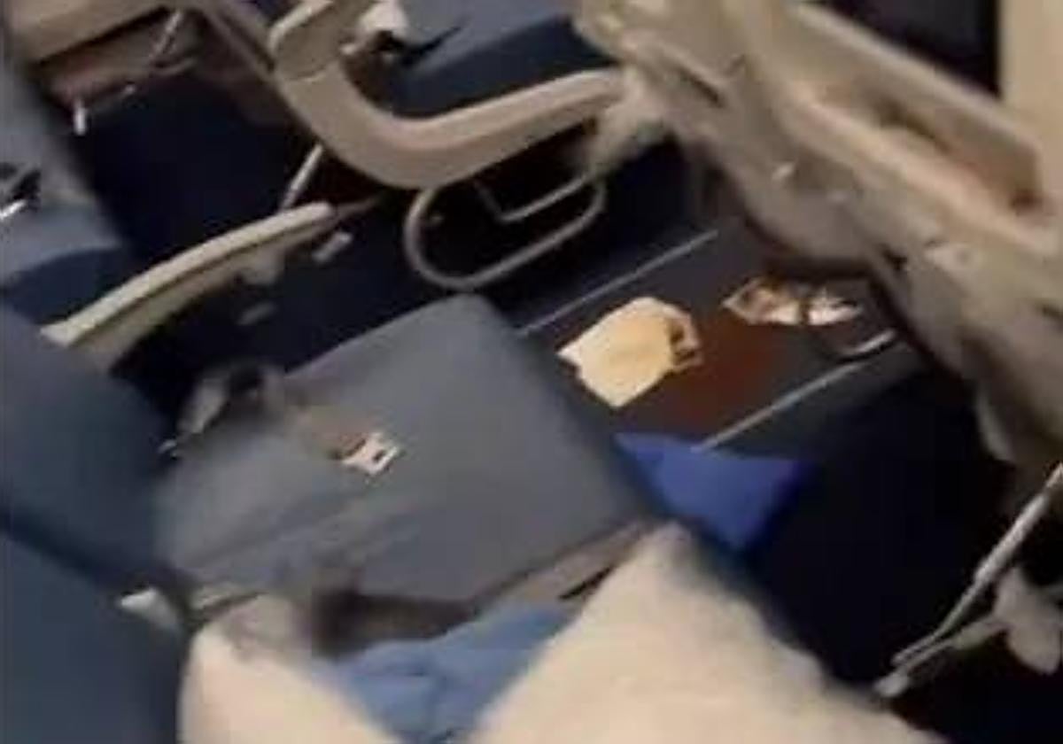 La «diarrea explosiva» de un pasajero obliga a dar media vuelta a un vuelo