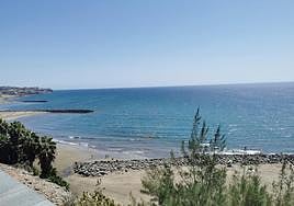 Imagen de las microalgas en la zona de Playa del Inglés.
