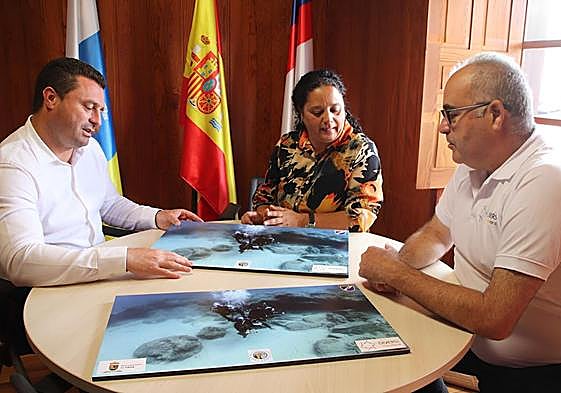 Preparativo de la actividad.