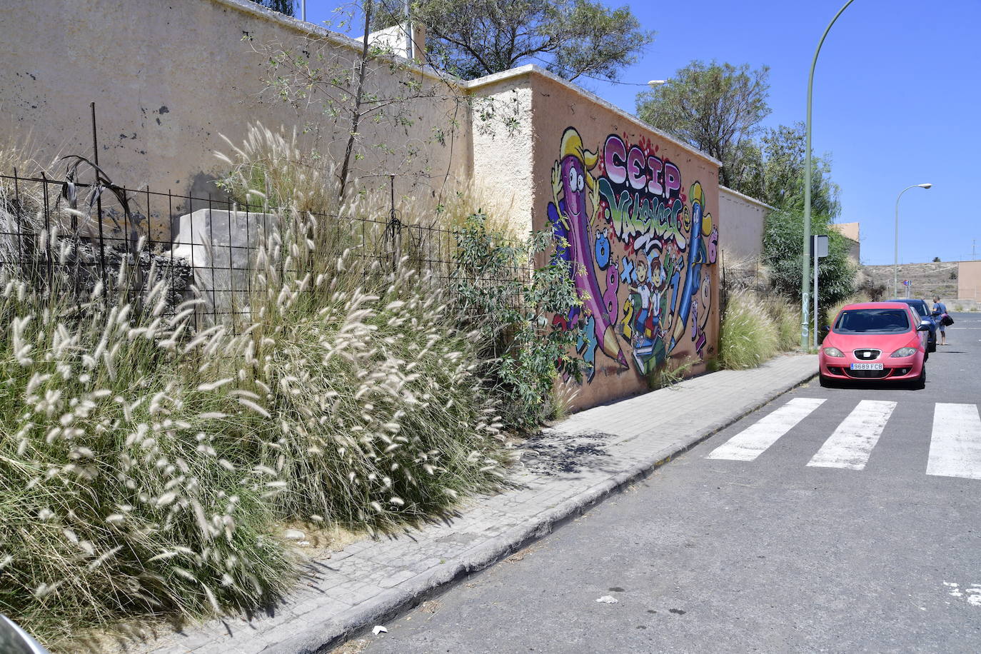 El rabo de gato trepa una verja en la calle San Gabriel en Tamaraceite.