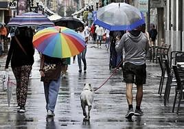 Un ciudadanos pasea con su perro por la calle mayor de Triana durante un día de lluvia.
