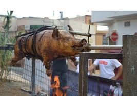Ingenio celebra la Fiesta del Cochino con asaderos, verbenas y torneo de zanga
