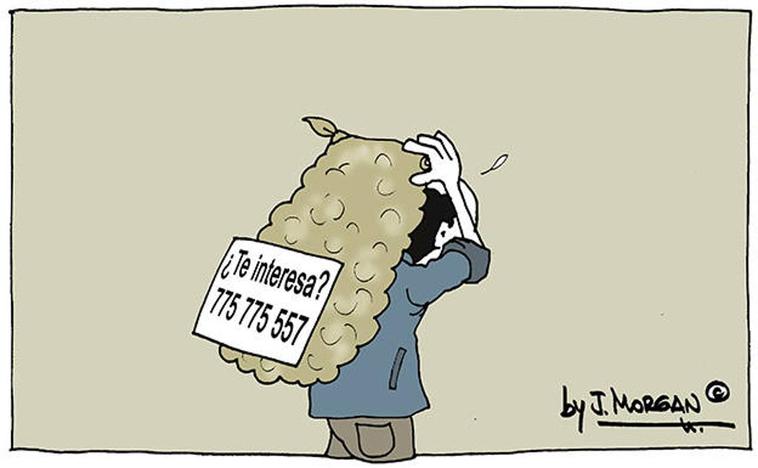 El humor de Morgan de este lunes 18 de septiembre