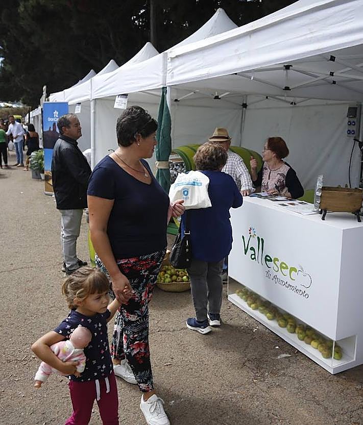 Imagen secundaria 2 - Tradiciones y turismo en Valleseco