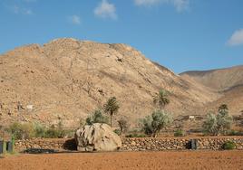 La piedra, una sienita, que el barranco arrastró hasta una gavia de Buen Paso desde las cercanas montañas de Vega de Río Palmas.