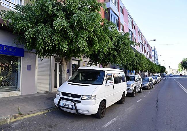 Árboles y acera de un lado de la calle Poeta Pablo Neruda.