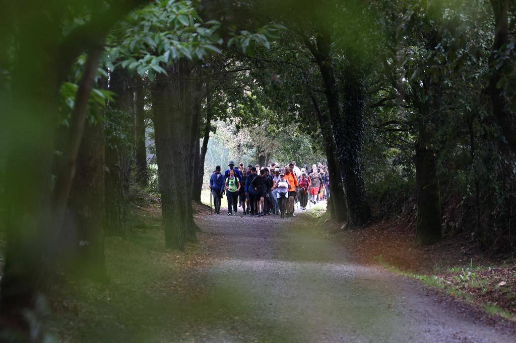 La tercera etapa del Camino de Los Valores-Caminando contra el cáncer, en imágenes
