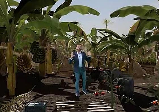 Realidad virtual que explica la plaga que afectó a los cultivos de Tenerife en 1958.