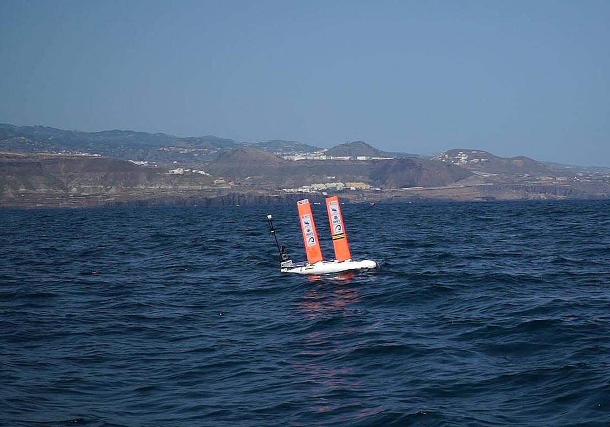 Una fundación española propone en el parlamento europeo la creación de un santuario marino en la macaronesia
