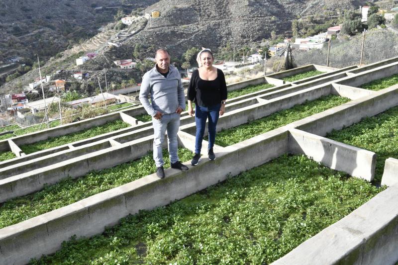 Las berreras de La Solana, en imágenes