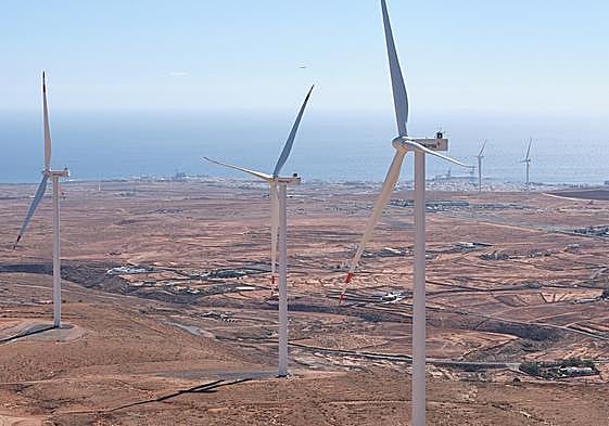 Cinco de los ocho aerogeneradores del parque eólico Puerto del Rosario, que se reparten entre tres localidades del municipio capitalino.