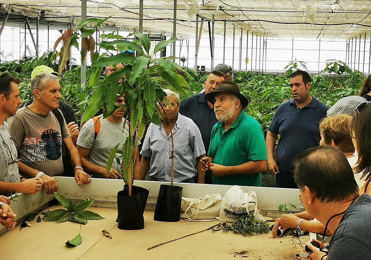 Miguel Angel Rodríguez dirige la práctica del curso de árboles frutales en los viveros de la granja insular de Pozo Negro.