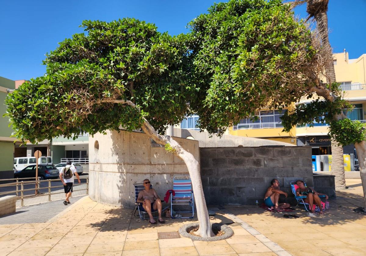 Varias personas con sillas de playa debajo de un árbol refugiándose del sol durante la ola de calor de principios de octubre.