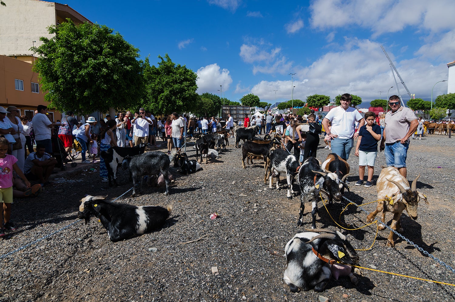 Santa Lucía de Tirajana honra a su copatrón, a San Rafael