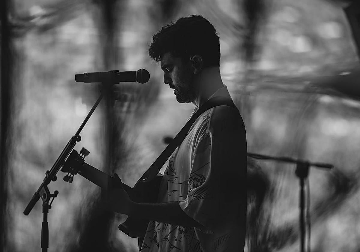 Concierto de Octavio Limiñana.